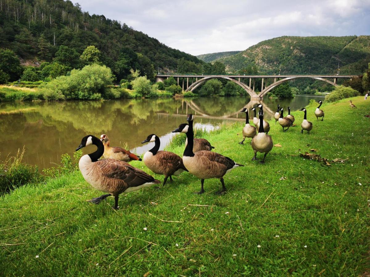 La Bayenne Villa Revin Kültér fotó