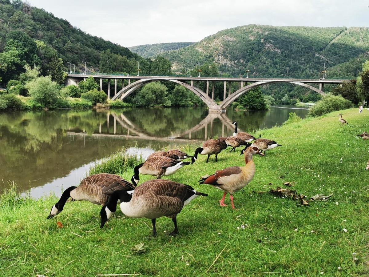 La Bayenne Villa Revin Kültér fotó